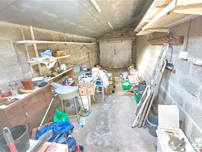Picture 21